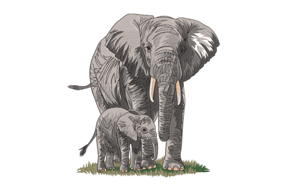 African Bush Elephant Review for Merch