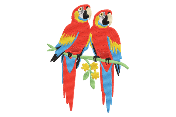 Scarlet Macaws Embroidery Design Review